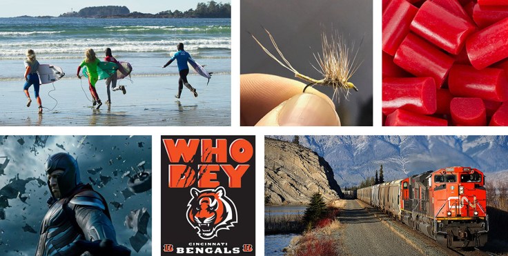 Employee-photo-collage-Dennis Scott